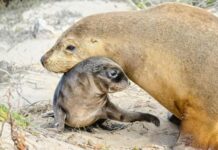 Explore your backyard in autumn