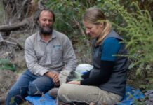 Australians’ right to a healthy environment at risk