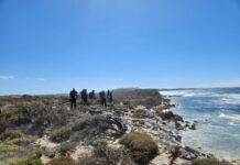 Walking clubs going strong on Kangaroo Island