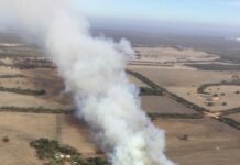 Second KI fire destroys tractor, wool bales; rain finally arrives