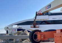 Council calls for “urgent support” for agricultural sector’s transport needs