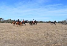 Kangaroo Island Hunt Club to celebrate 50th anniversary