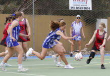 Netball action photos from Wisanger: Kangaroo Island netball