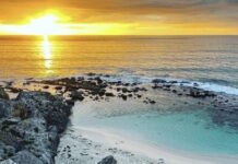 Stokes Bay Beach ranks best ‘hidden gem’ location, according to travellers