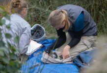 Registrations now open: Island Arks Symposium on Kangaroo Island