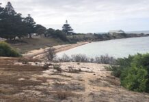 Letter: Foreshore area of Kingscote a neglected asset