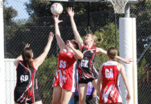 Netball action from Parndana: PHOTOS