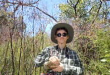 Progress in Kangaroo Island bat research thanks to French Master’s student