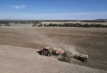 SA farm sector sentiment takes a tumble through dry autumn