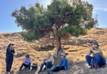 Dudley Midweek Walkers tackle Kangaroo Head in May