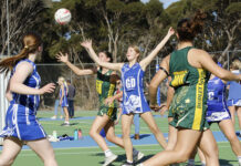 Dudley United wins 17&U netball at Wisanger
