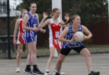 Action from netball matches between Parndana and Wisanger
