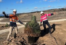 Native seedlings sprouting at Penneshaw’s new desalination plant