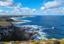 Kangaroo Island walkers sight whales west of Vivonne Bay