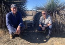 Dudley Peninsula landholders help trap 187 feral cats in winter blitz