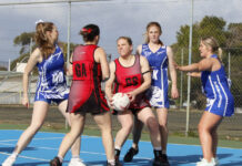 A Grade action between Kingscote and Wisanger