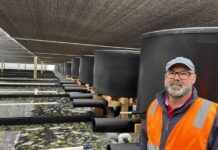 KI’s Yumbah aquaculture expands with new system, adding 60 tonnes production