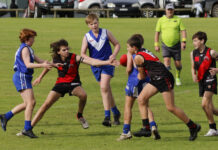 Senior Colts action from Kingscote