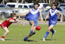 Western District Colts prevail over Dudley at home