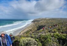 KI Walking Club traverses cliff tops from Flour Cask Bay