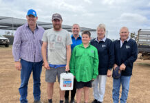 KI farmers urged to vaccinate ewes, lambs against Erysipelas arthritis