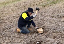 SA researchers unearth value of the soil microbiome for broadacre farmers