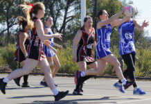 Action from Round 13 of KI Netball: PHOTOS
