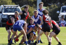 Panthers over Hounds in epic Round 14 of KI Football League