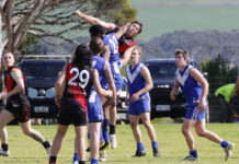 Kingscote confirms double chance in B Grade