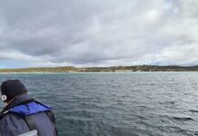 Two KI professional fishermen dead after boat capsizes off north coast