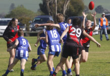 KI Colts competition all but set after Kingscote beats Wisanger