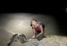 Distinguished scientists to speak at Island Arks Symposium on KI