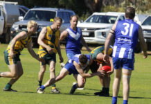 Wisanger dominates Reserves, winning big against Dudley United