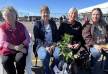 Spectators at Kangaroo Island sport: PHOTOS