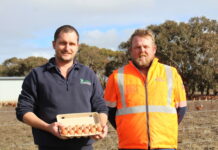 Egg-citement builds ahead of Kangaroo Island’s new desal drop