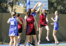Round 14 Netball senior action from Kangaroo Island: PHOTOS