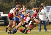 Western Districts waltz into the KI Football League grand final