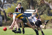 Western Districts wins Colts semi final against Dudley United