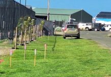 Footpath works to begin at American River