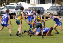 Wisanger outclass Dudley