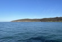 Applications open for coastal grants