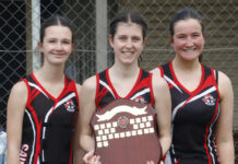 Best goal throwers in 2024