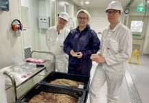 World-first facility producing sterile sheep blowflies on Kangaroo Island