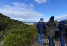 Kangaroo Island Twitchathon is on again, supported by Birdlife KI