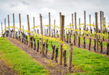 Think before you spray