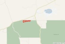 Prescribed burn at Seal Bay Conservation Park on KI