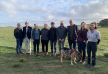 347 feral cats eliminated as KI Landscape Board undertakes trapping blitz