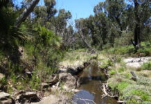 Latest aquatic ecosystem condition reports mostly good for KI