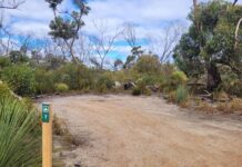 Get into nature during holidays