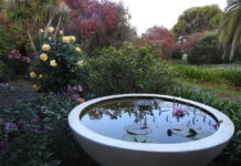 Spring into garden festival